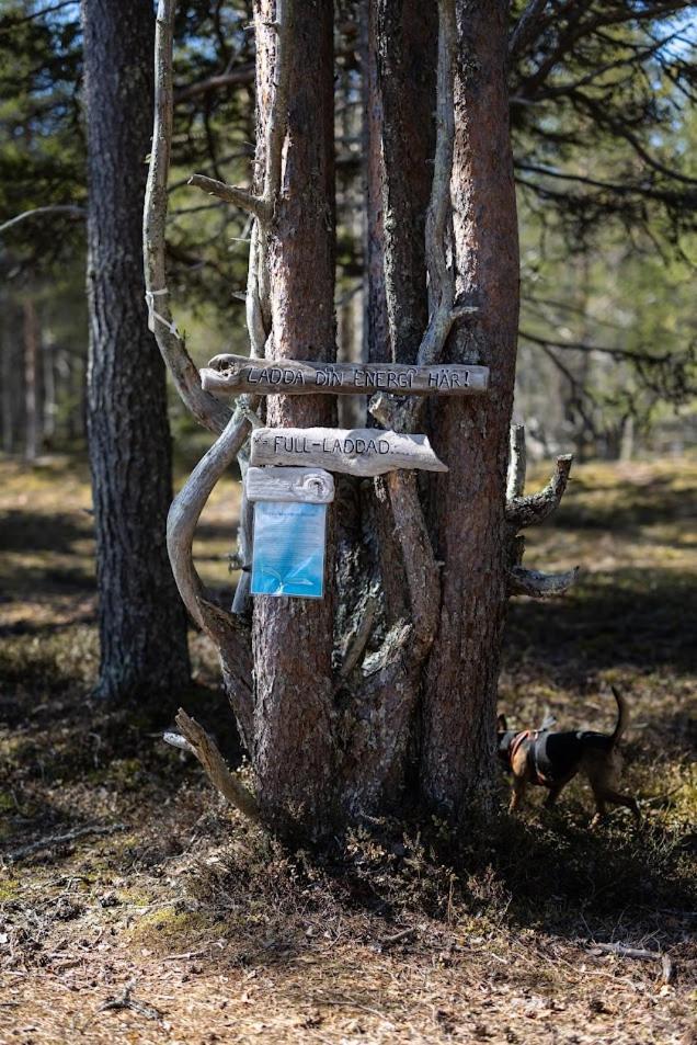 Nordic Lapland Frevisoeren Hotel Batskarsnas Bagian luar foto