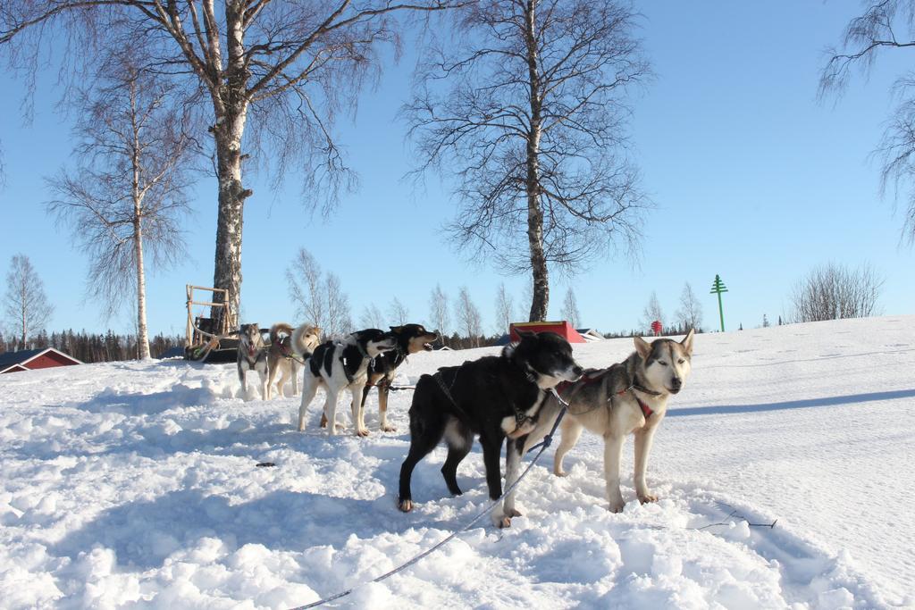 Nordic Lapland Frevisoeren Hotel Batskarsnas Bagian luar foto